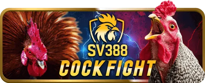 Cá Cược Thể Thao XIN88