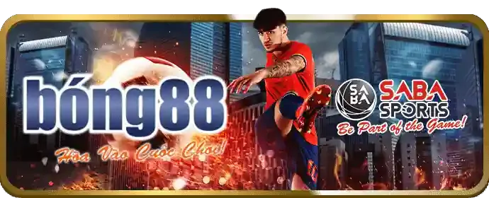 Giao diện thân thiện của ứng dụng Xin88